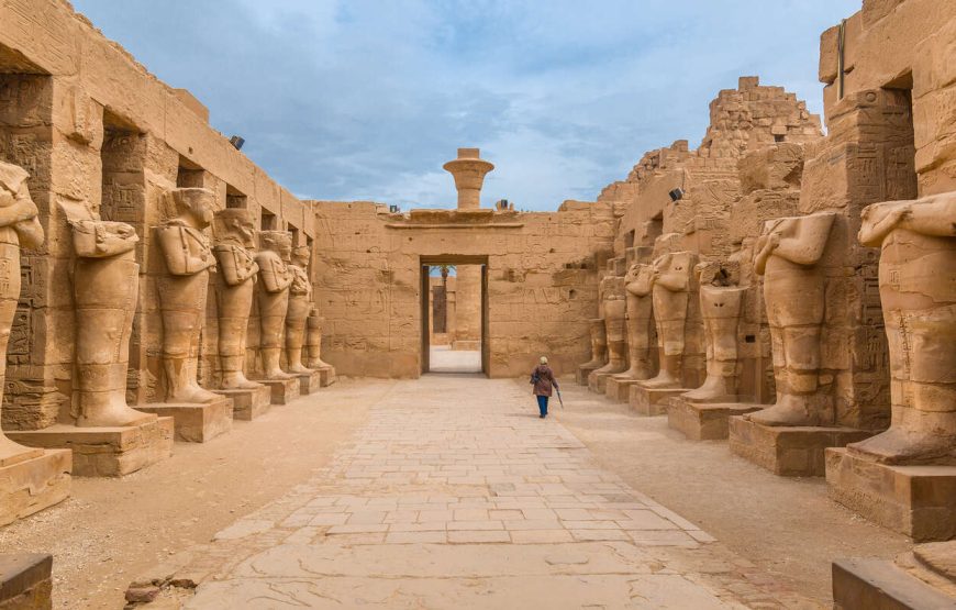 Private Day Tour to Luxor West Bank
