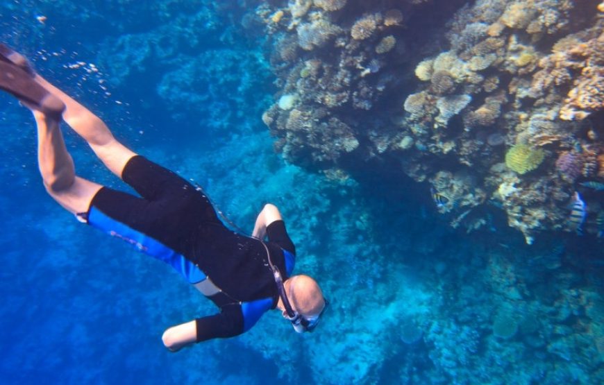 Day Diving Trip To Hamata Island From Marsa Alam
