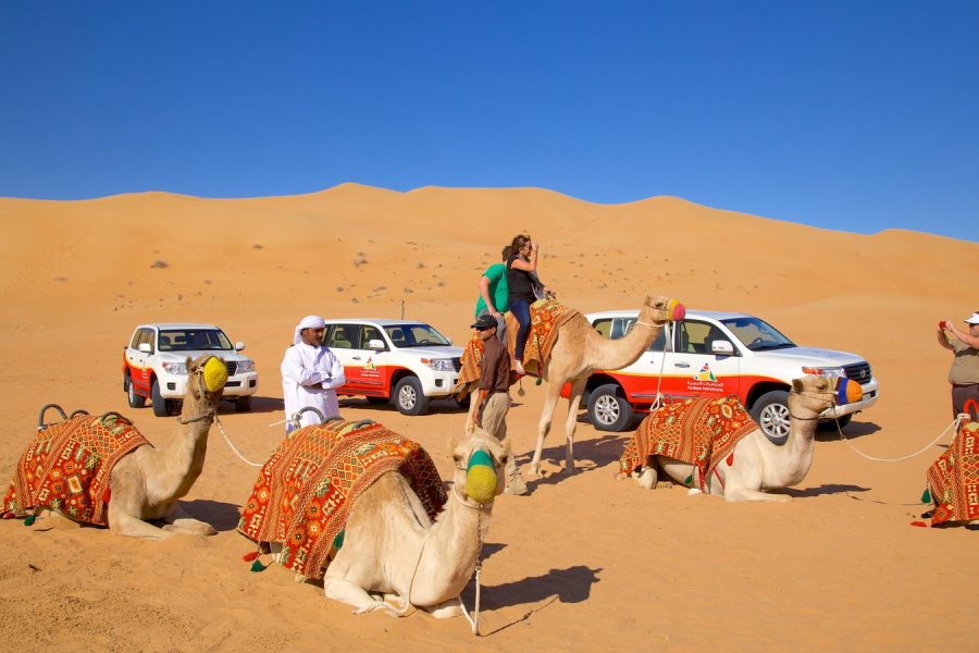 Super Safari ATV, Drive Buggy Car, Camel Ride, Bedouin Dinner, Show-Hurghada