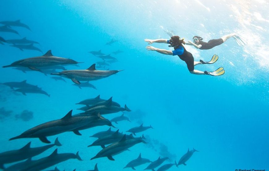 Marsa alam Sea Snorkeling & Diving trip With Lunch – Marsa Alam