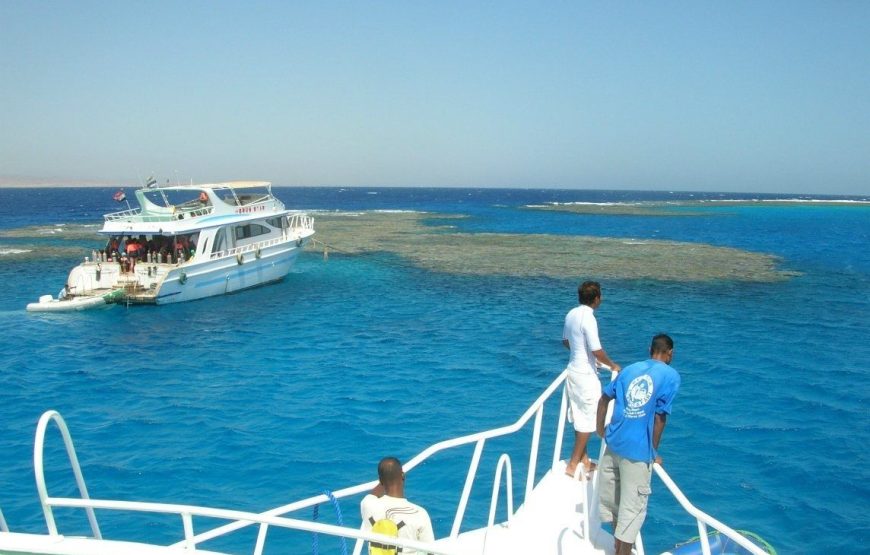 Day Diving Trip To Hamata Island From Marsa Alam