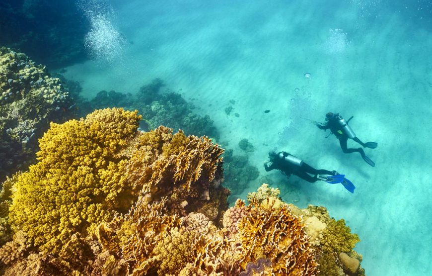 Day Diving Trip To Hamata Island From Marsa Alam