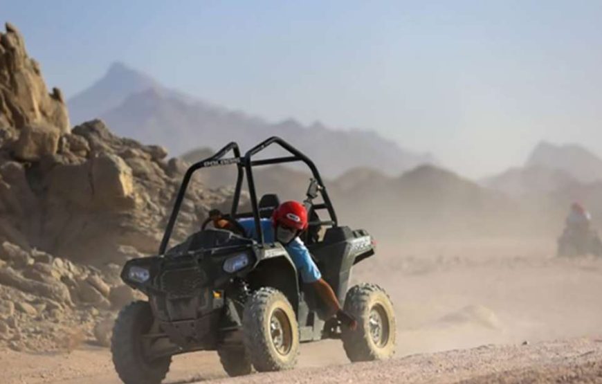 Super Safari ATV, Drive Buggy Car, Camel Ride, Bedouin Dinner, Show-Hurghada