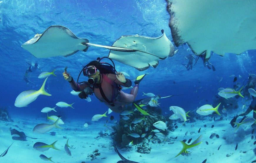 Discover Marsa Alam Coral Reef Snorkeling Sea Trip with Lunch – Marsa Alam