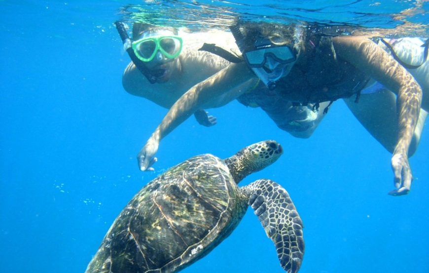 Marsa alam Sea Snorkeling & Diving trip With Lunch – Marsa Alam