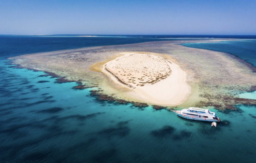Snorkeling day trip from Marsa Alam to port Ghalib