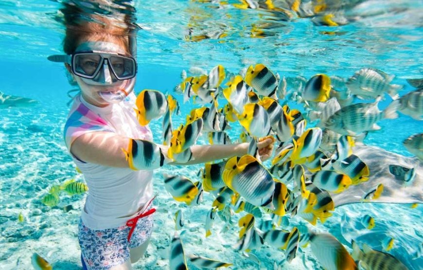 Orange Bay Island Snorkeling Trip With Water Sports From Hurghada